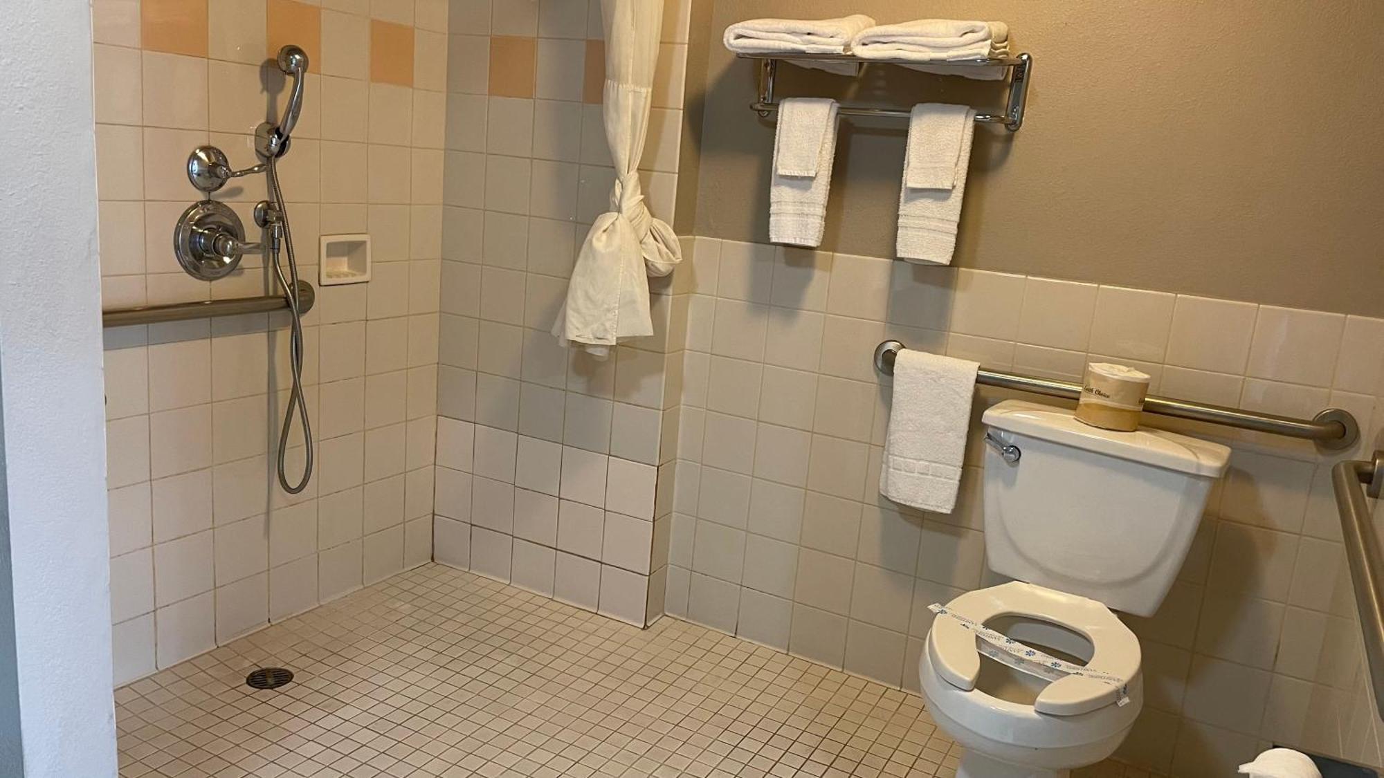 King Room Disability Access