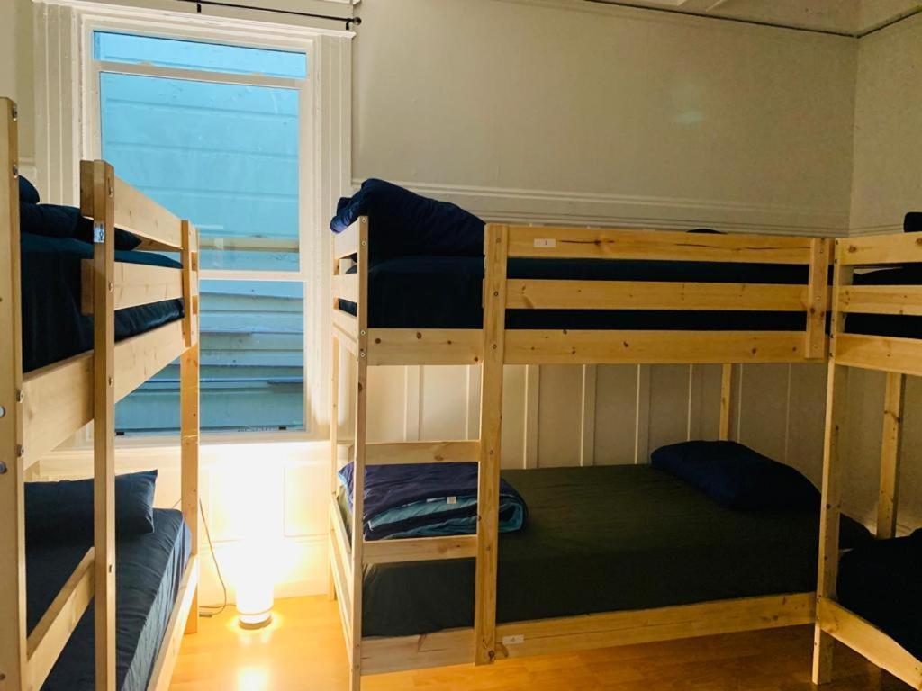 Bunk Bed in Mixed Dormitory Room