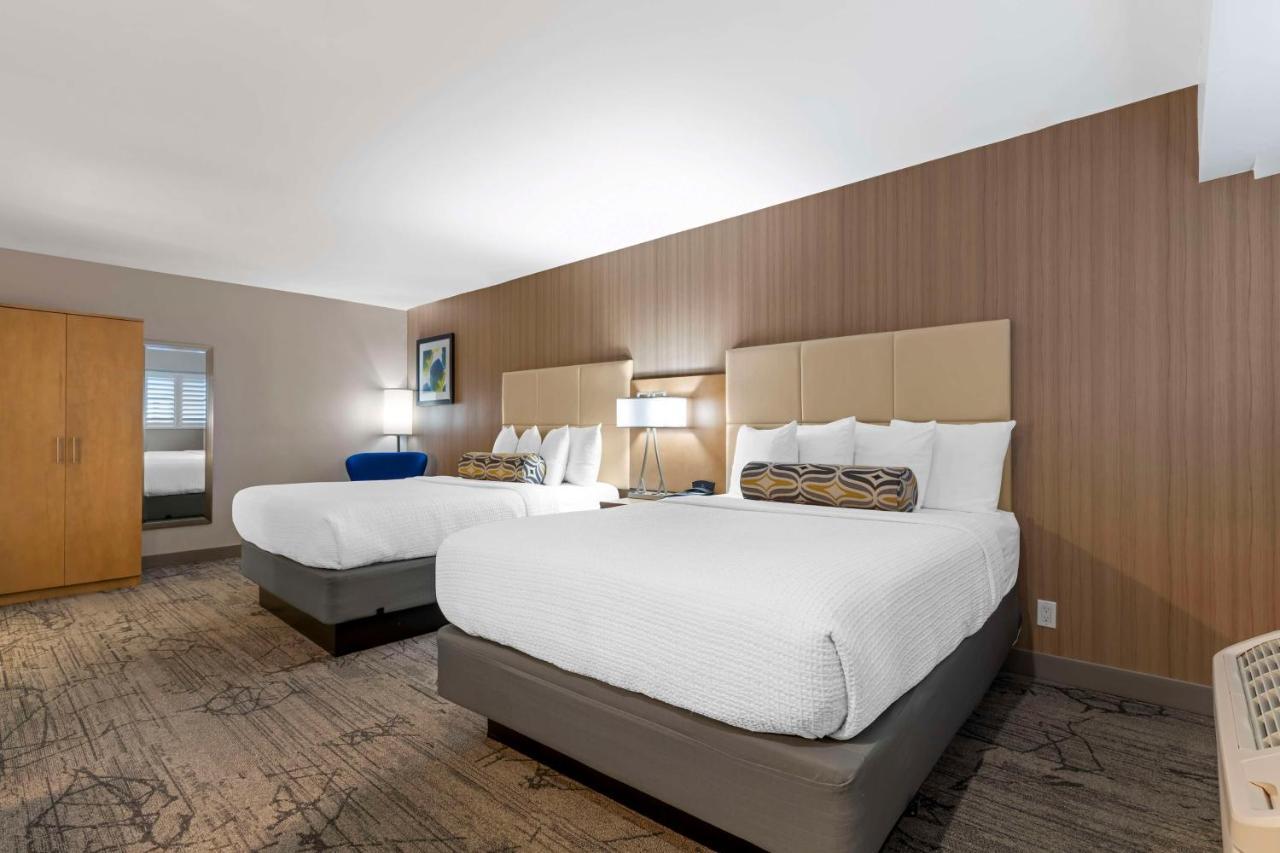 Queen Room with Two Queen Beds,1499021863:JPEG