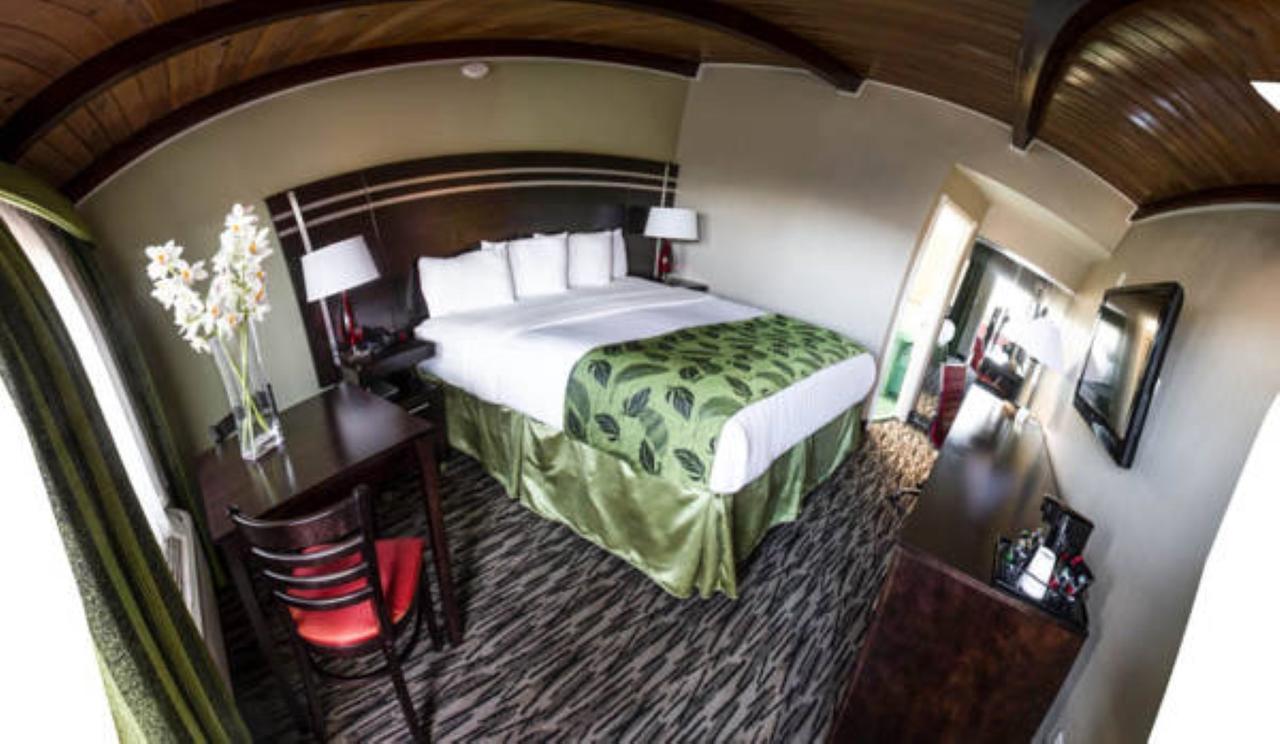 Standard King Room