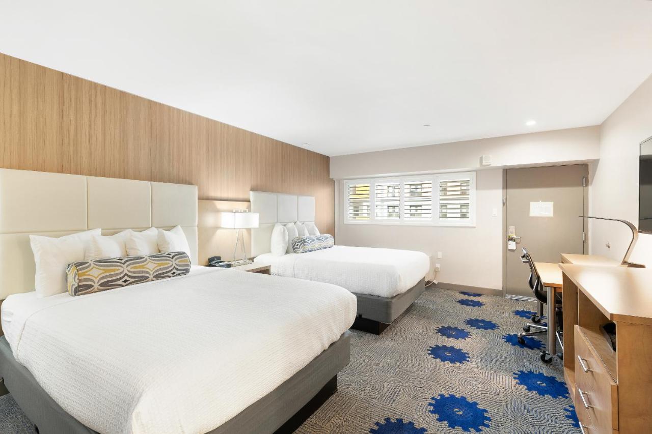 Queen Room with Two Queen Beds,944845216:JPEG